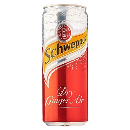 Picture of SCHWEPPES GINGER ALE 20CL